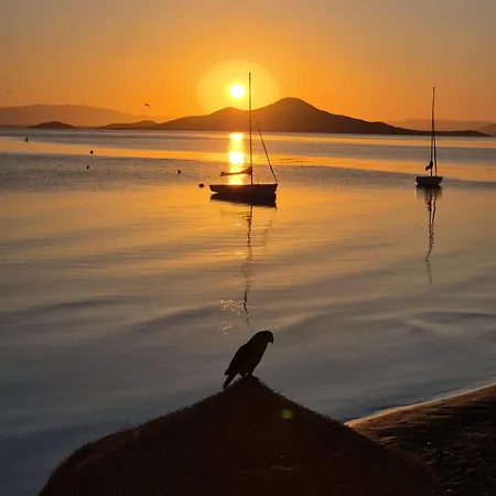 M&g Cozy -beachfront,wifi,aircon,fullyequipped Διαμέρισμα