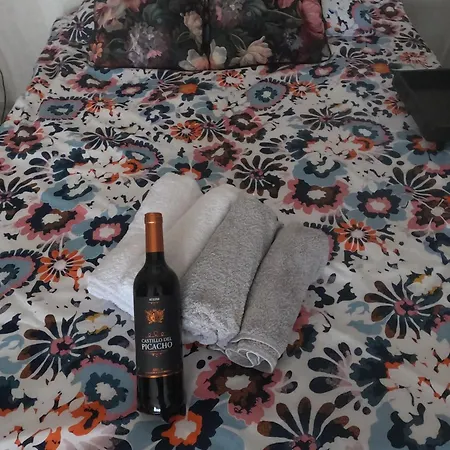 M&g Cozy -beachfront,wifi,aircon,fullyequipped *