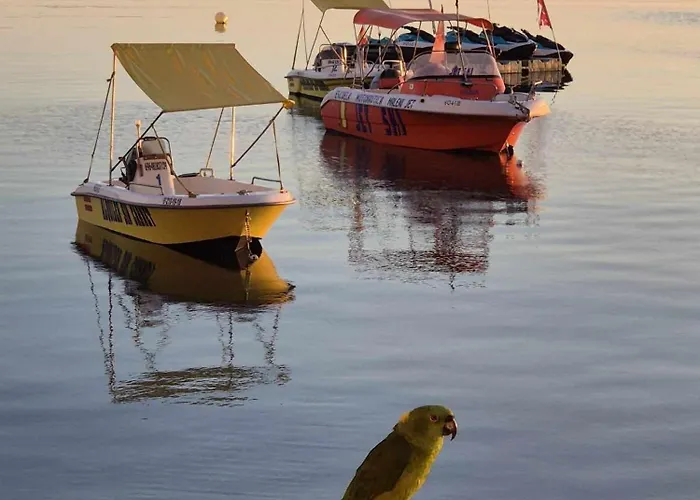 M&g Cozy -beachfront,wifi,aircon,fullyequipped * לה מנגה דל מר מנור