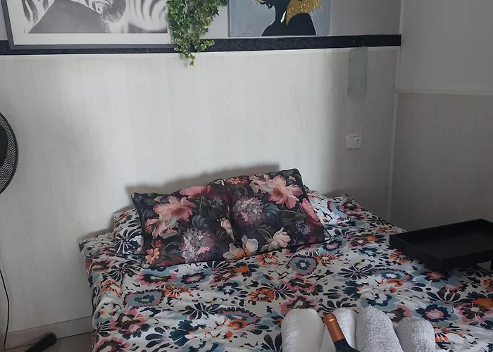 M&g Cozy -beachfront,wifi,aircon,fullyequipped לה מנגה דל מר מנור